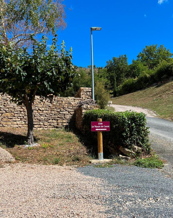 Chambre Au Calme Avec Spa Privatif Gratuit Sud Aveyron Les Palmiers Des Causses Saint-Rome-de-Tarn Eksteriør billede