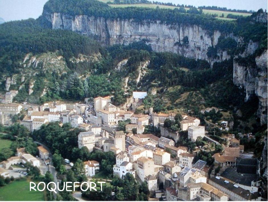 Chambre Au Calme Avec Spa Privatif Gratuit Sud Aveyron Les Palmiers Des Causses Saint-Rome-de-Tarn Eksteriør billede